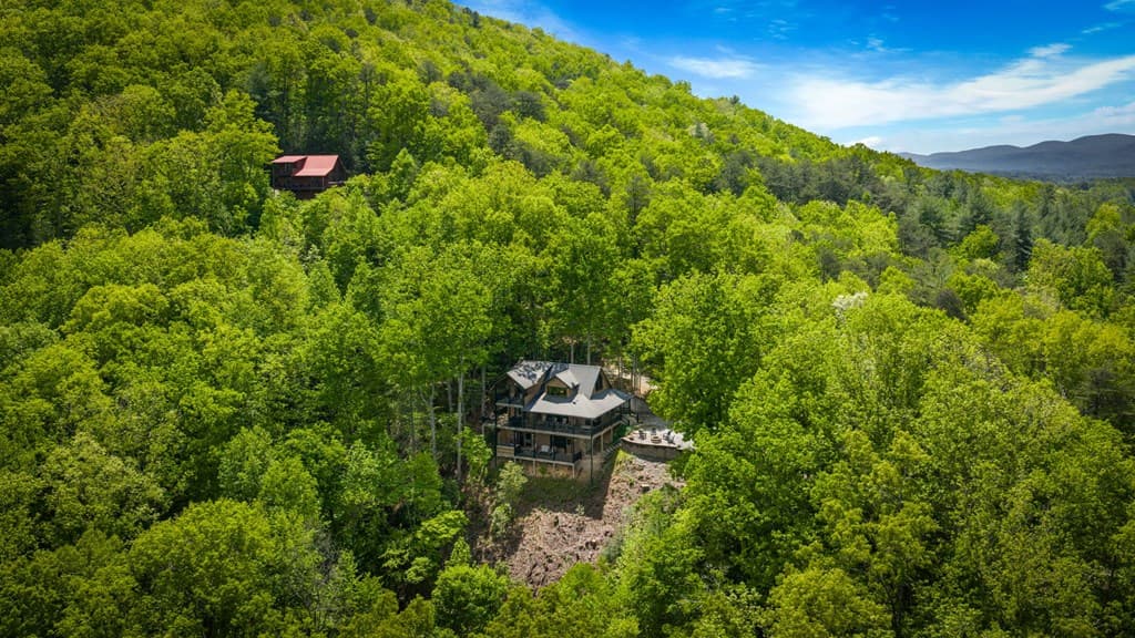 607 Rhonda Lane, Mineral Bluff GA 30559 - Photo