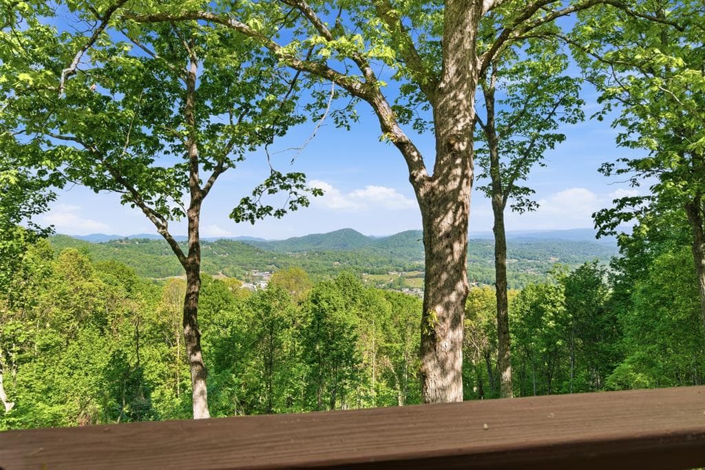 860 Frog Pond Road, Hiawassee GA 30546 - Photo