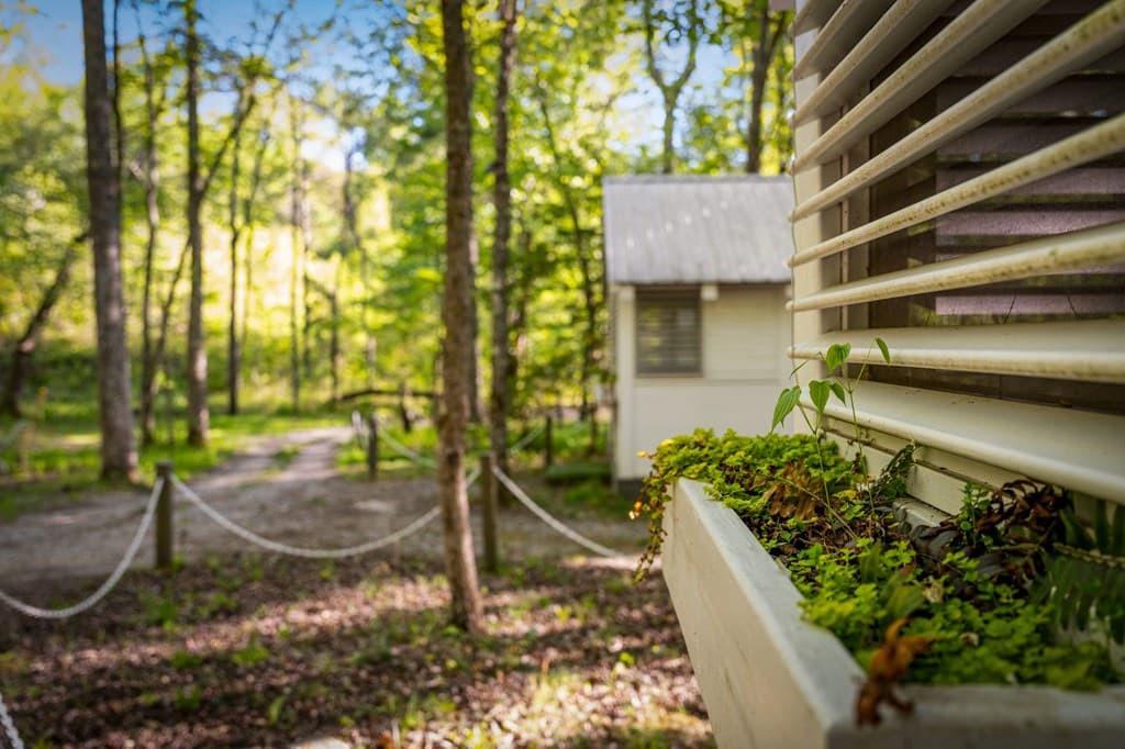 391 Forest Service 117 Road, Blairsville GA 30512 - Photo
