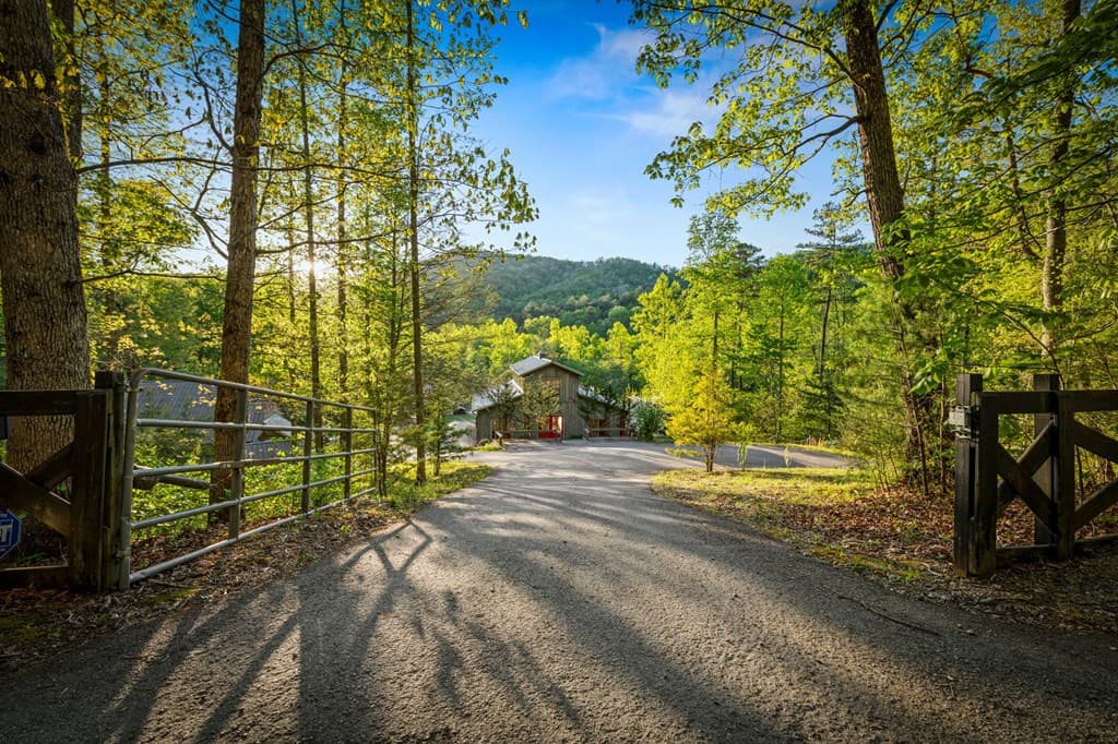391 Forest Service 117 Road, Blairsville GA 30512 - Photo