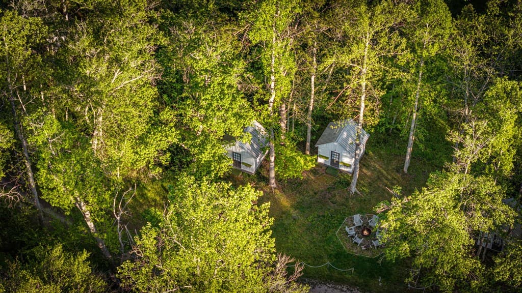 391 Forest Service 117 Road, Blairsville GA 30512 - Photo