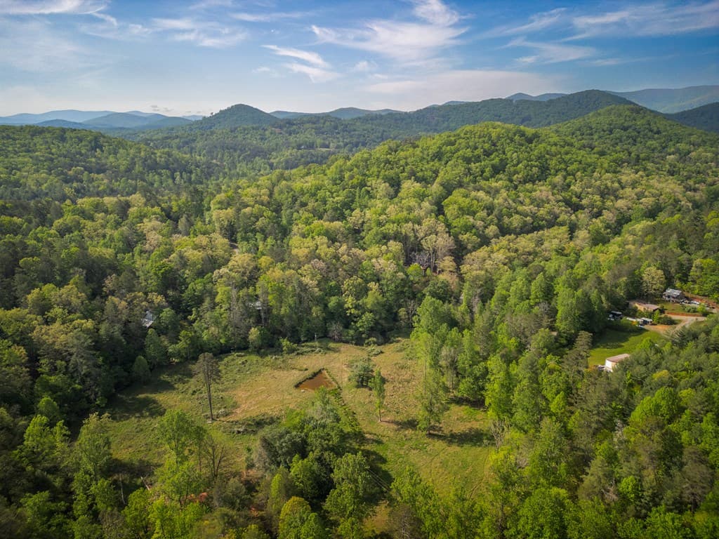 459 Mill Stone Mountain, Blue Ridge GA 30513 - Photo