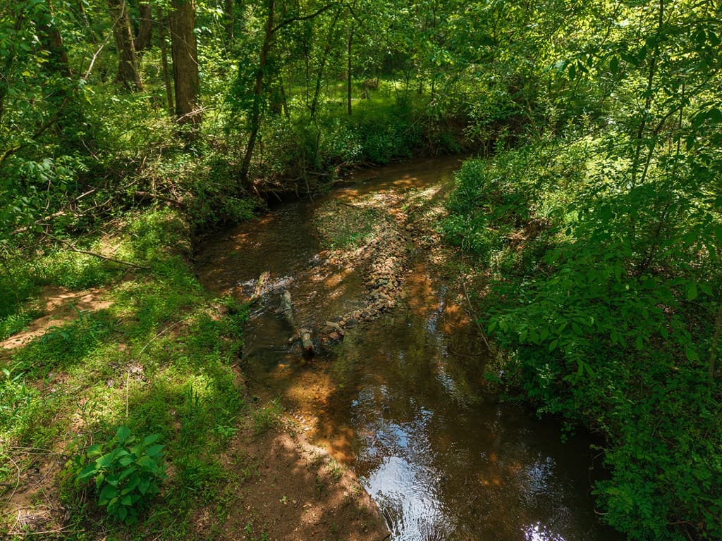 392 London Road, Ball Ground GA 30107 - Photo