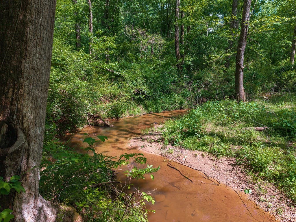 392 London Road, Ball Ground GA 30107 - Photo