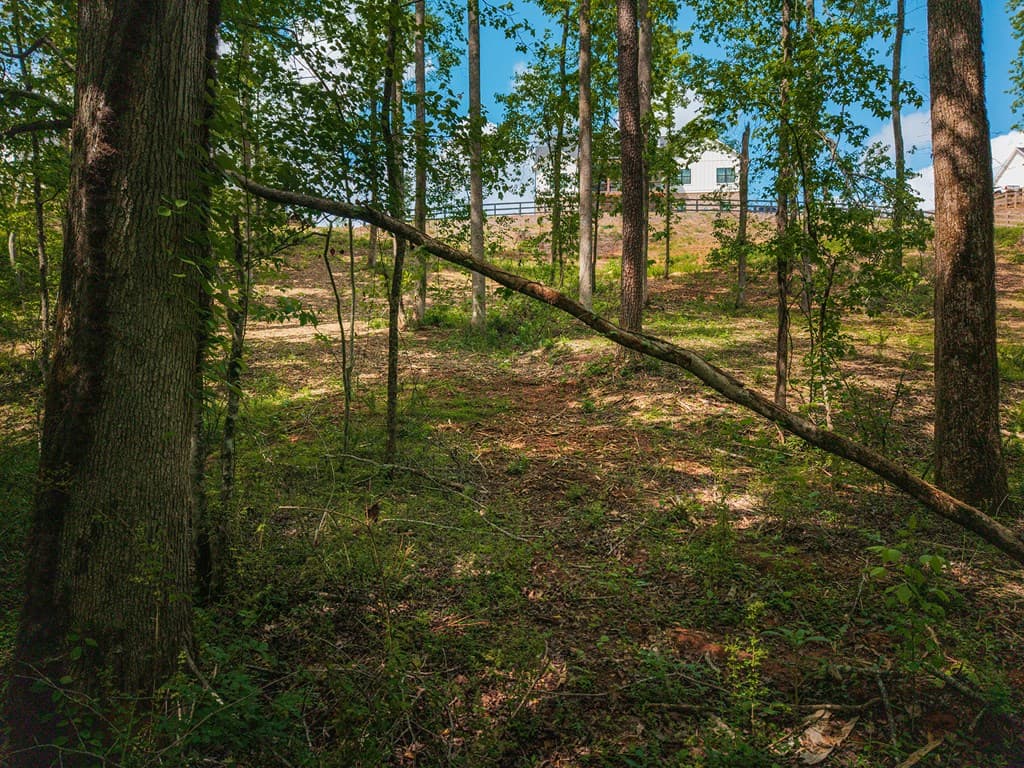 392 London Road, Ball Ground GA 30107 - Photo