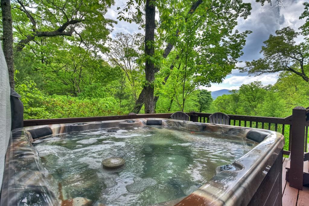 1822 Hidden Lake Drive, Cherry Log GA 30522 - Photo