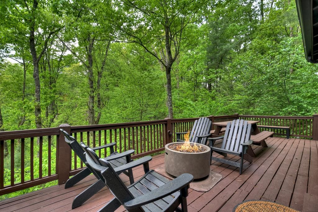 1822 Hidden Lake Drive, Cherry Log GA 30522 - Photo