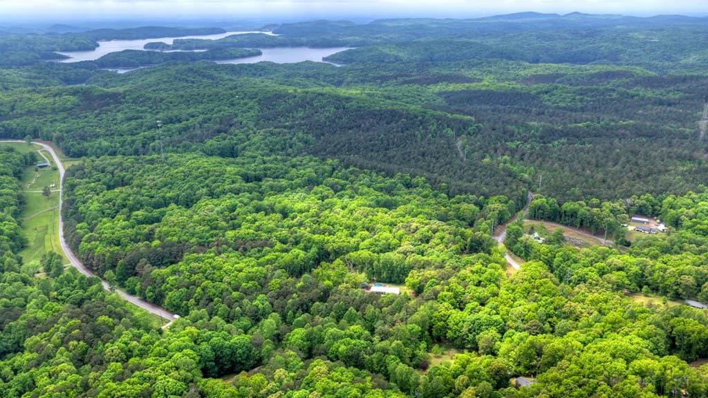 5568 Hwy 382, Ellijay GA 30540 - Photo