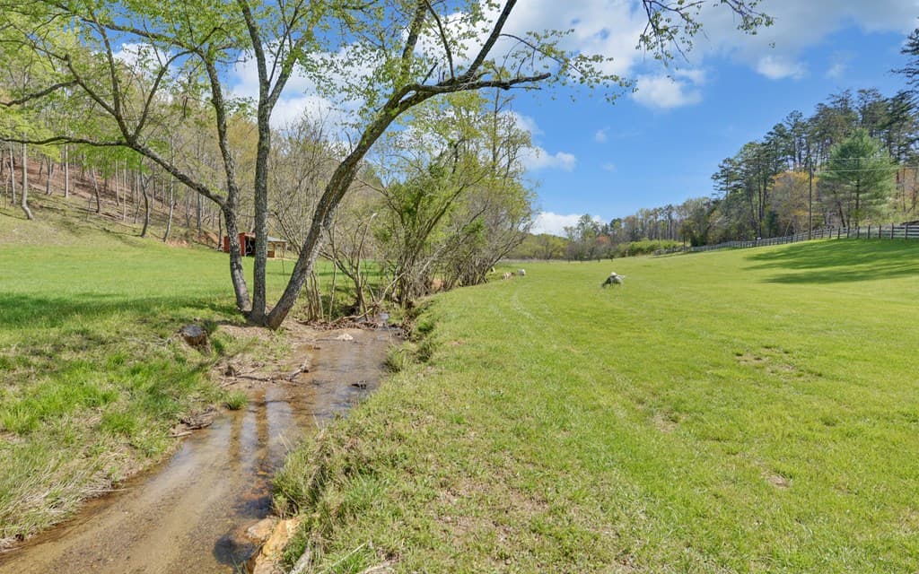 202 Dove Lane, Morganton GA 30560 - Photo