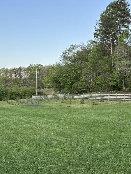 202 Dove Lane, Morganton GA 30560 - Photo