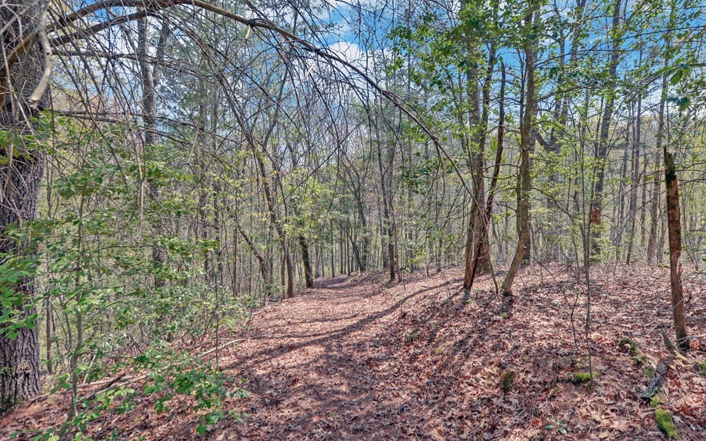 202 Dove Lane, Morganton GA 30560 - Photo