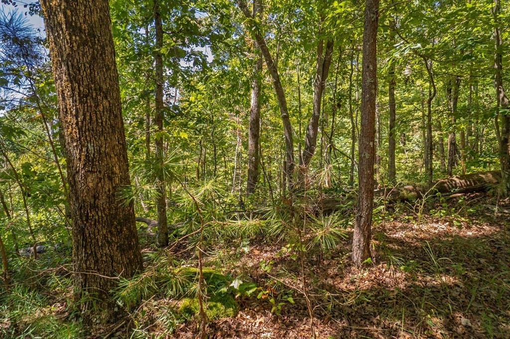 Lot 1 Harris Branch Road E, Ellijay GA 30540 - Photo