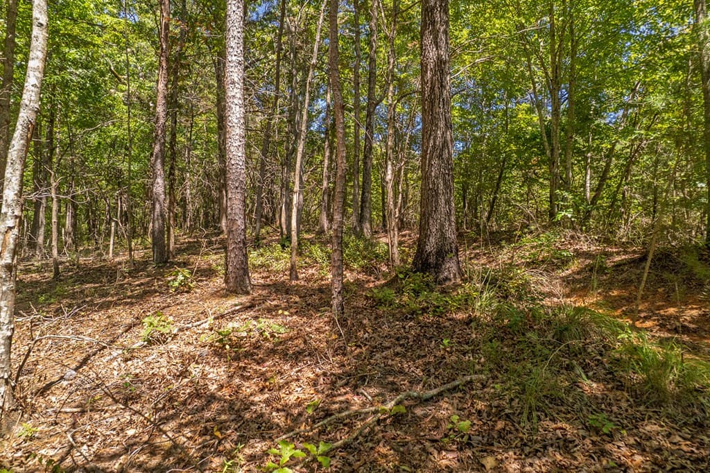 Lot 19 Harris Branch Road E, Ellijay GA 30540 - Photo