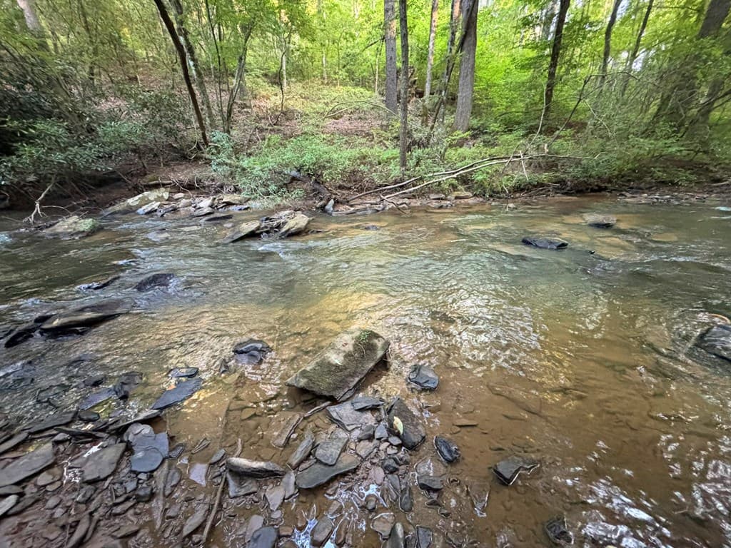 443 Mt. Springer Road, Ellijay GA 30540 - Photo