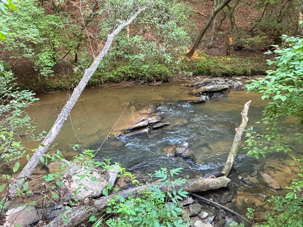443 Mt. Springer Road, Ellijay GA 30540 - Photo