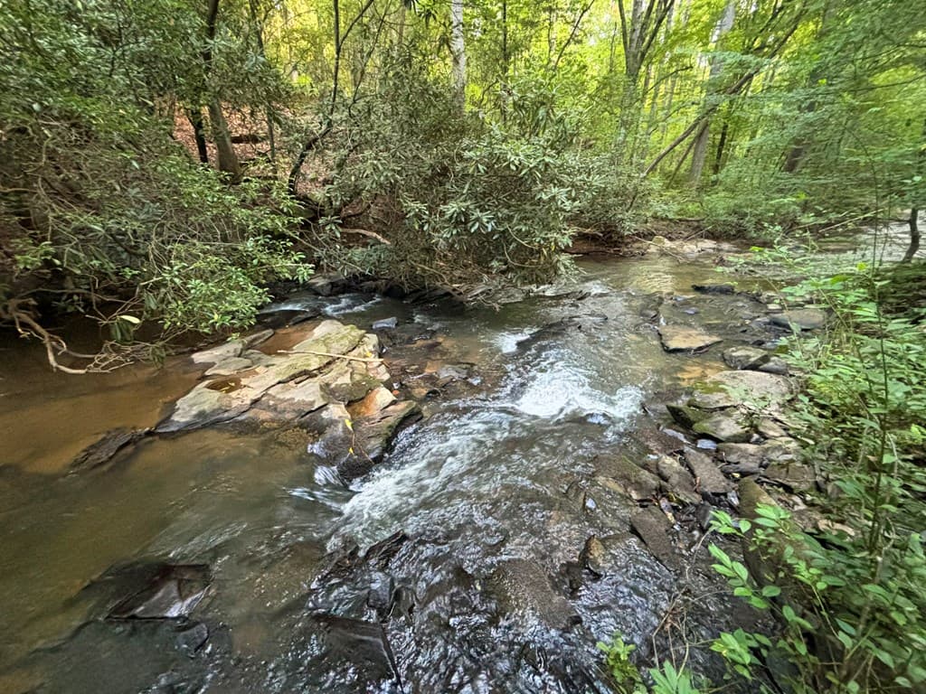 443 Mt. Springer Road, Ellijay GA 30540 - Photo