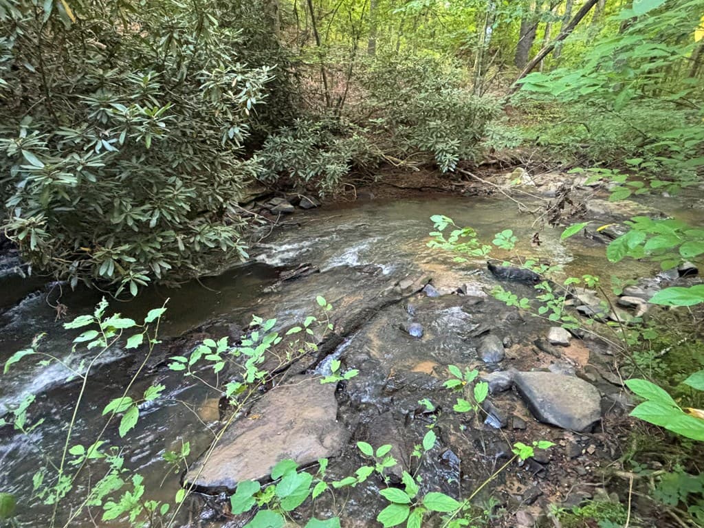 443 Mt. Springer Road, Ellijay GA 30540 - Photo