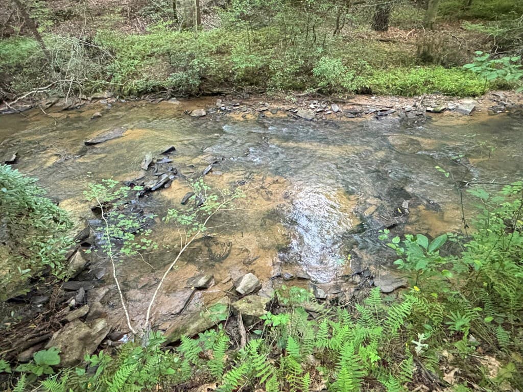 443 Mt. Springer Road, Ellijay GA 30540 - Photo