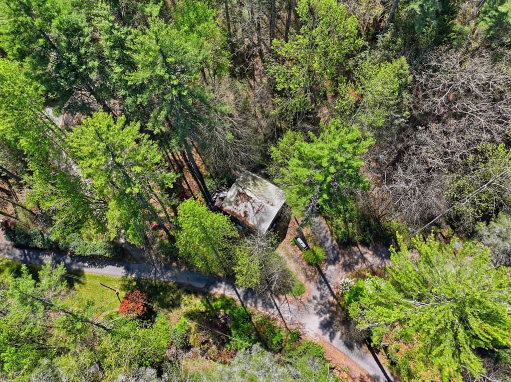 15 Salmon Road, Blairsville GA 30012 - Photo