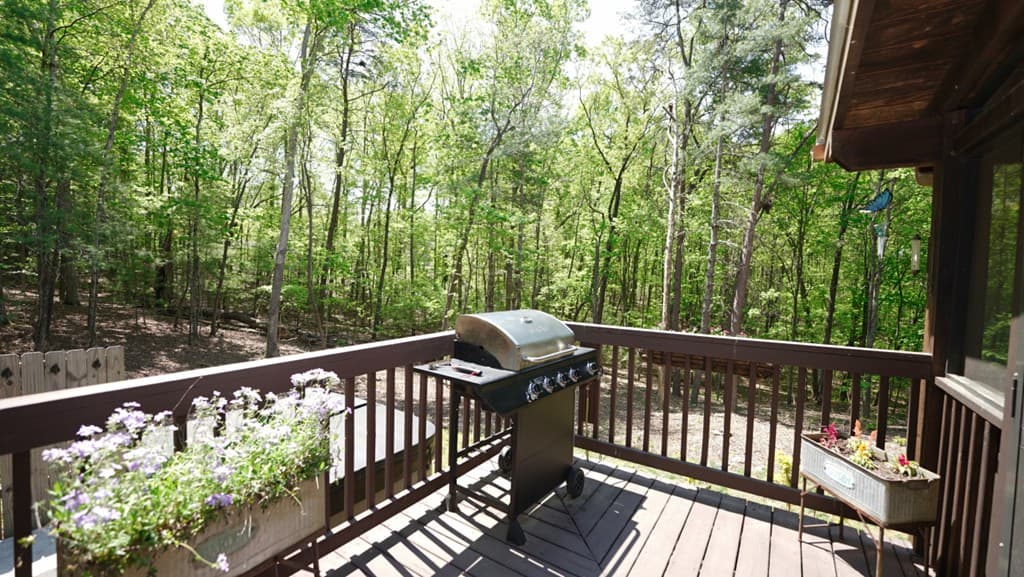 210 Shade Tree Lane, Mineral Bluff GA 30559 - Photo