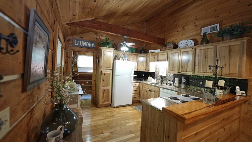 210 Shade Tree Lane, Mineral Bluff GA 30559 - Photo