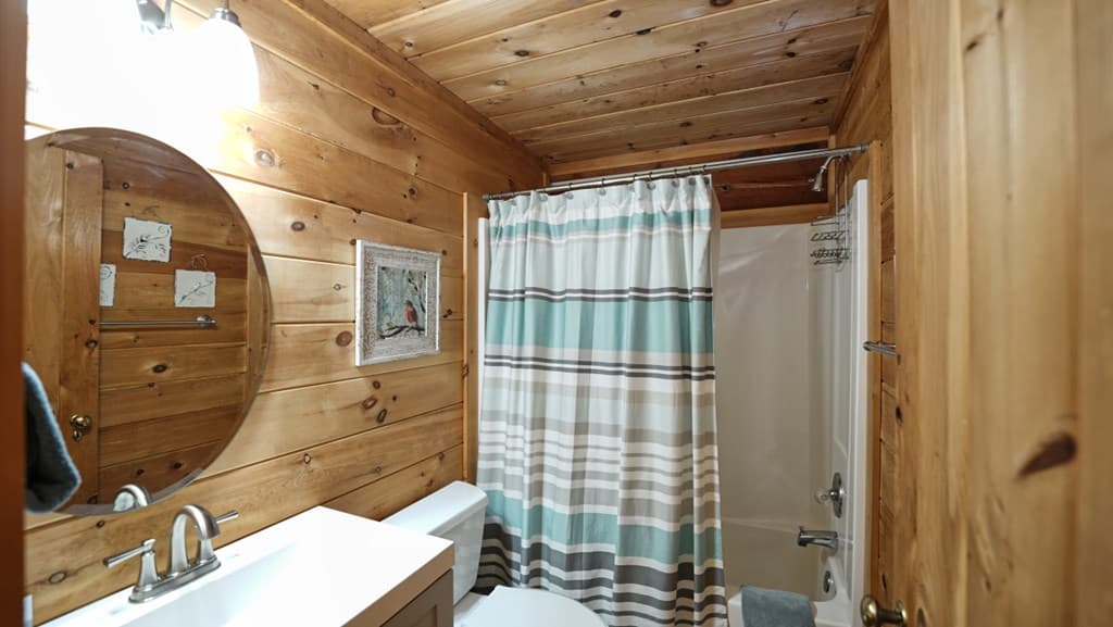 210 Shade Tree Lane, Mineral Bluff GA 30559 - Photo