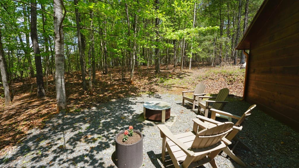 210 Shade Tree Lane, Mineral Bluff GA 30559 - Photo
