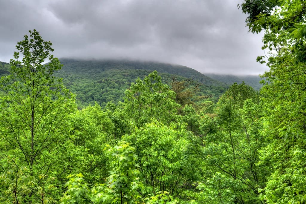 1582 Little Rock Creek Road, Cherry Log GA 30522 - Photo