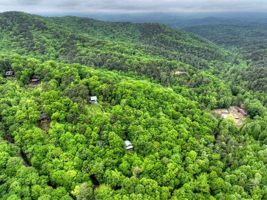 1582 Little Rock Creek Road, Cherry Log GA 30522 - Photo