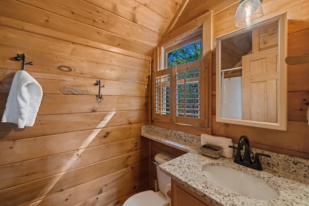 258 Dupont Drive, Blue Ridge GA 30522 - Photo