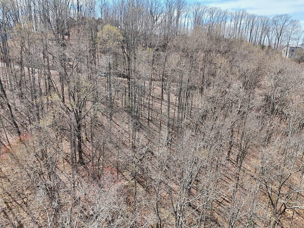 #2 High Meadows Drive, Hayesville NC 28904 - Photo