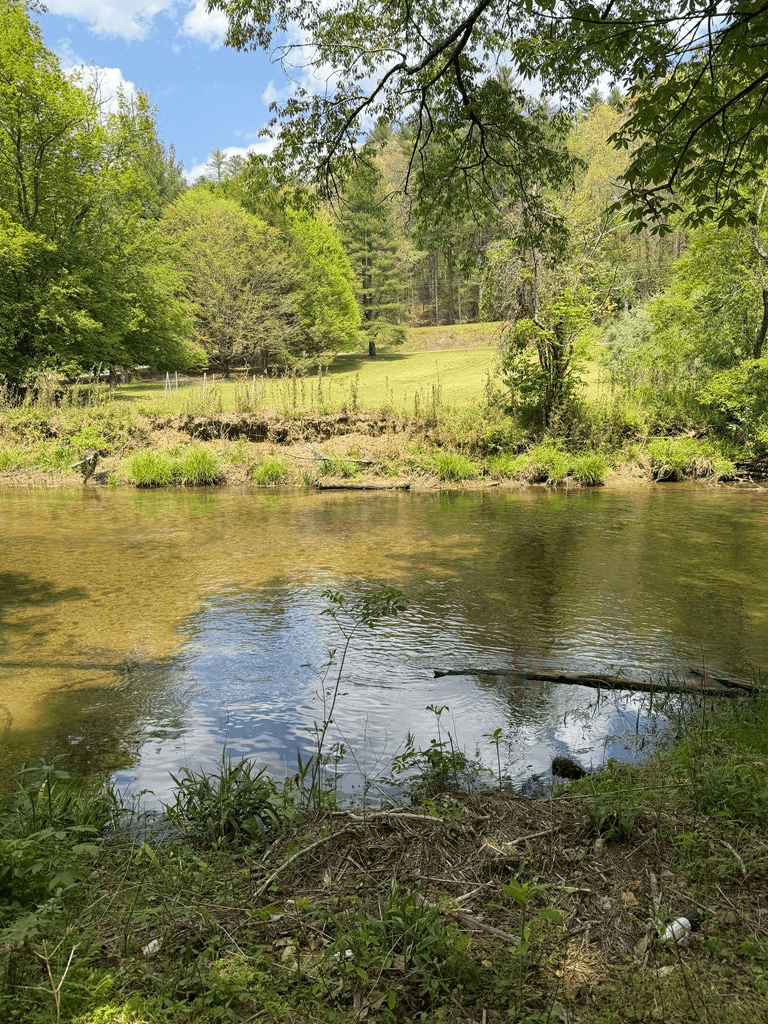 9.8 AC Brown Mountain Road, Suches GA 30572 - Photo