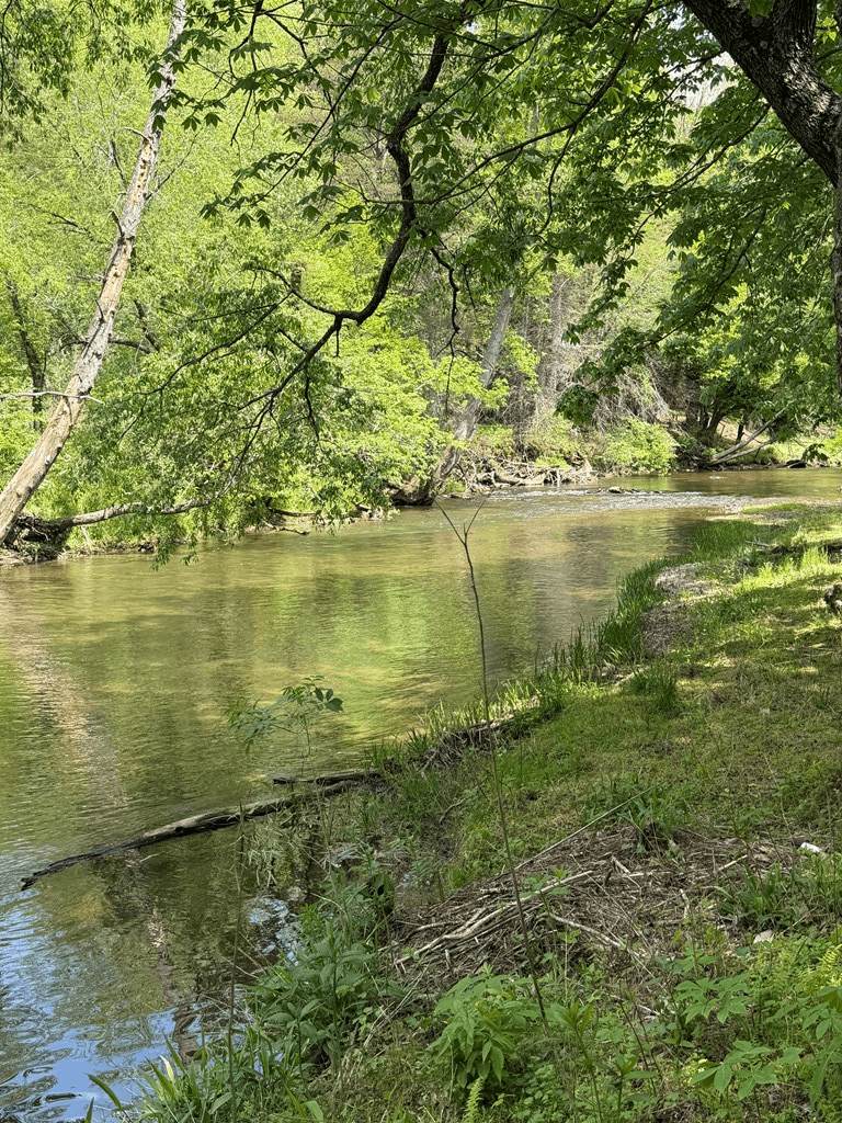 9.8 AC Brown Mountain Road, Suches GA 30572 - Photo
