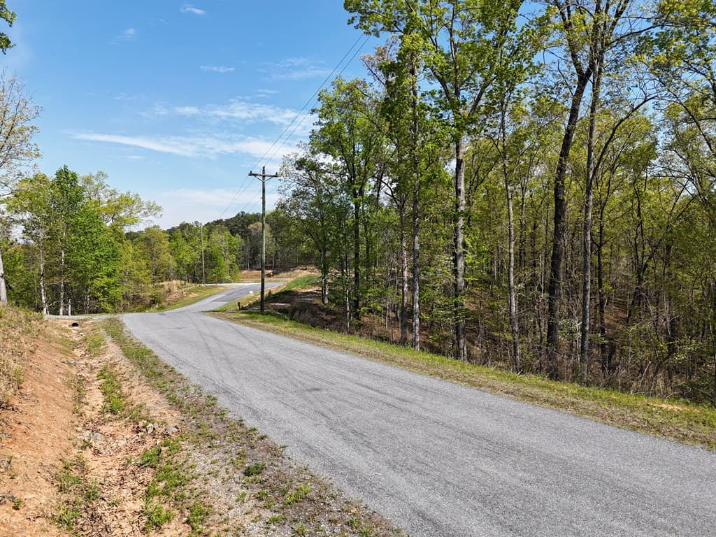 Lot 20 Blalock Mountain Road, Ellijay GA 30540 - Photo