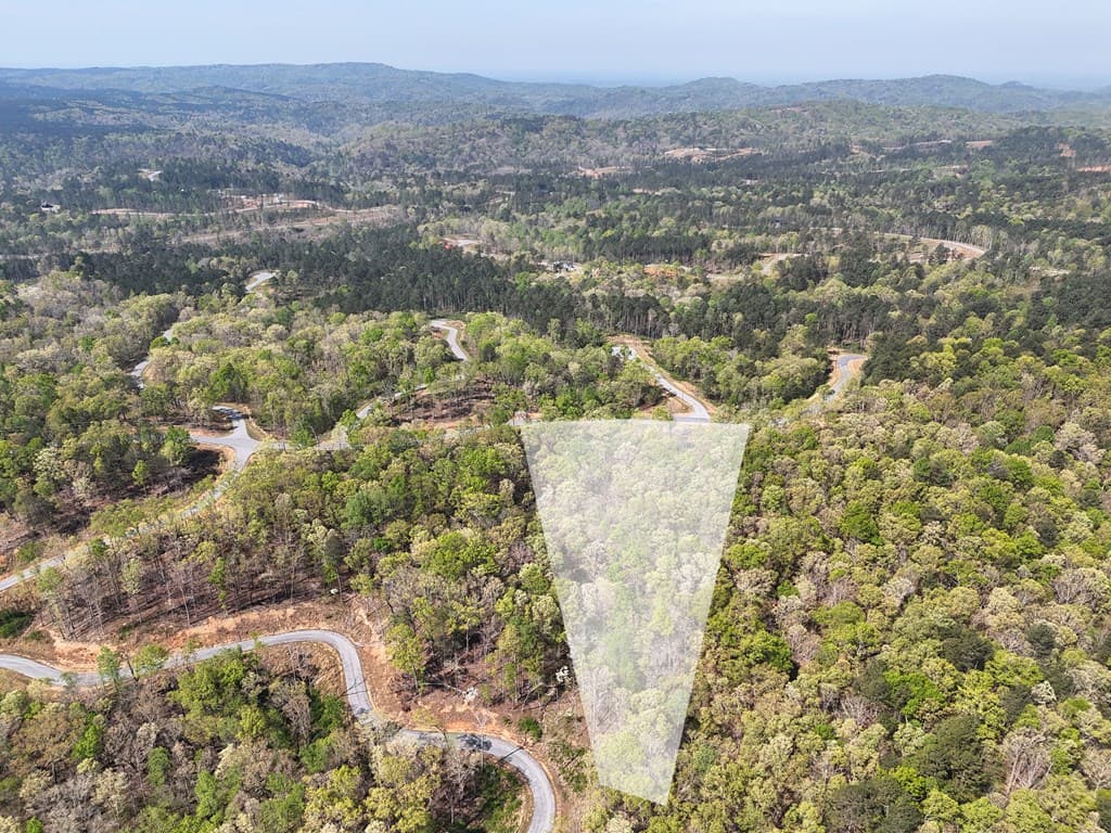 Lot 20 Blalock Mountain Road, Ellijay GA 30540 - Photo