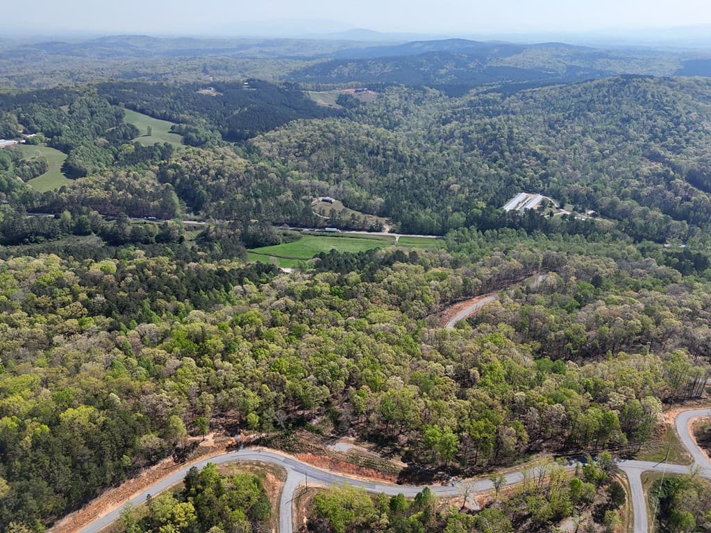 Lot 20 Blalock Mountain Road, Ellijay GA 30540 - Photo