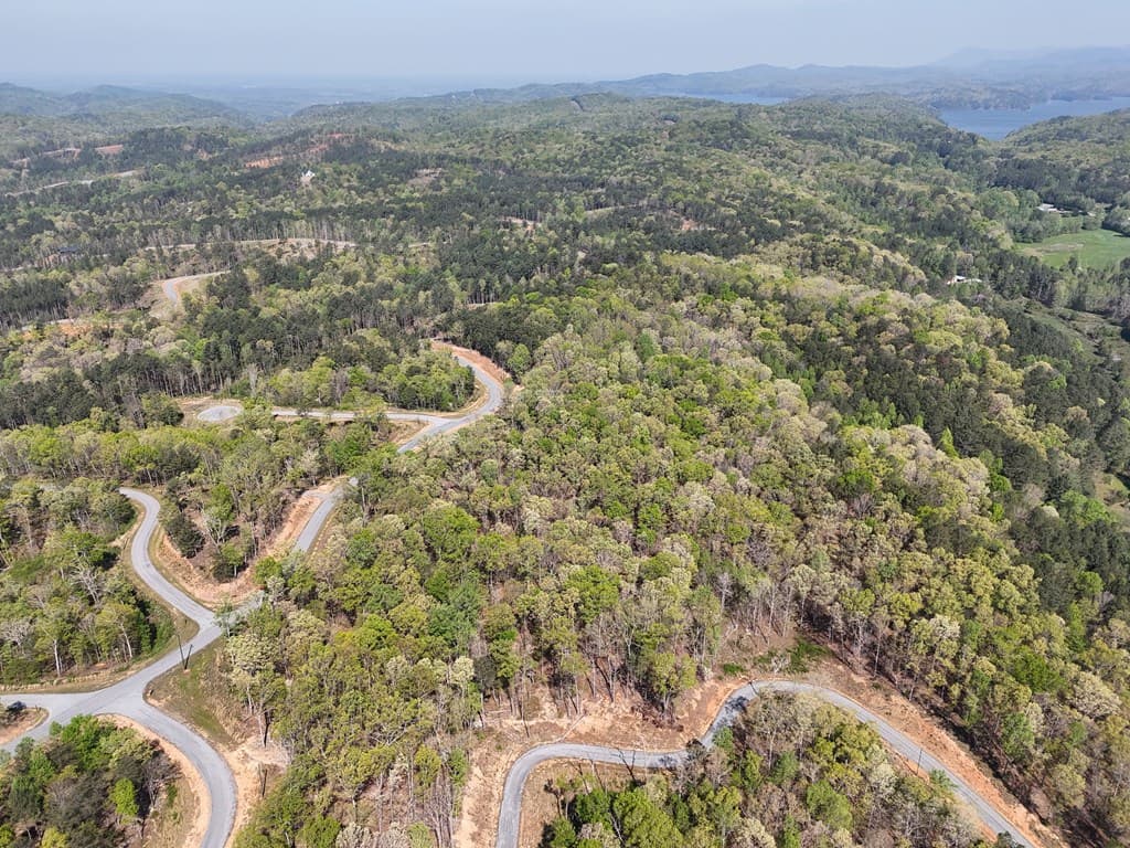 Lot 20 Blalock Mountain Road, Ellijay GA 30540 - Photo