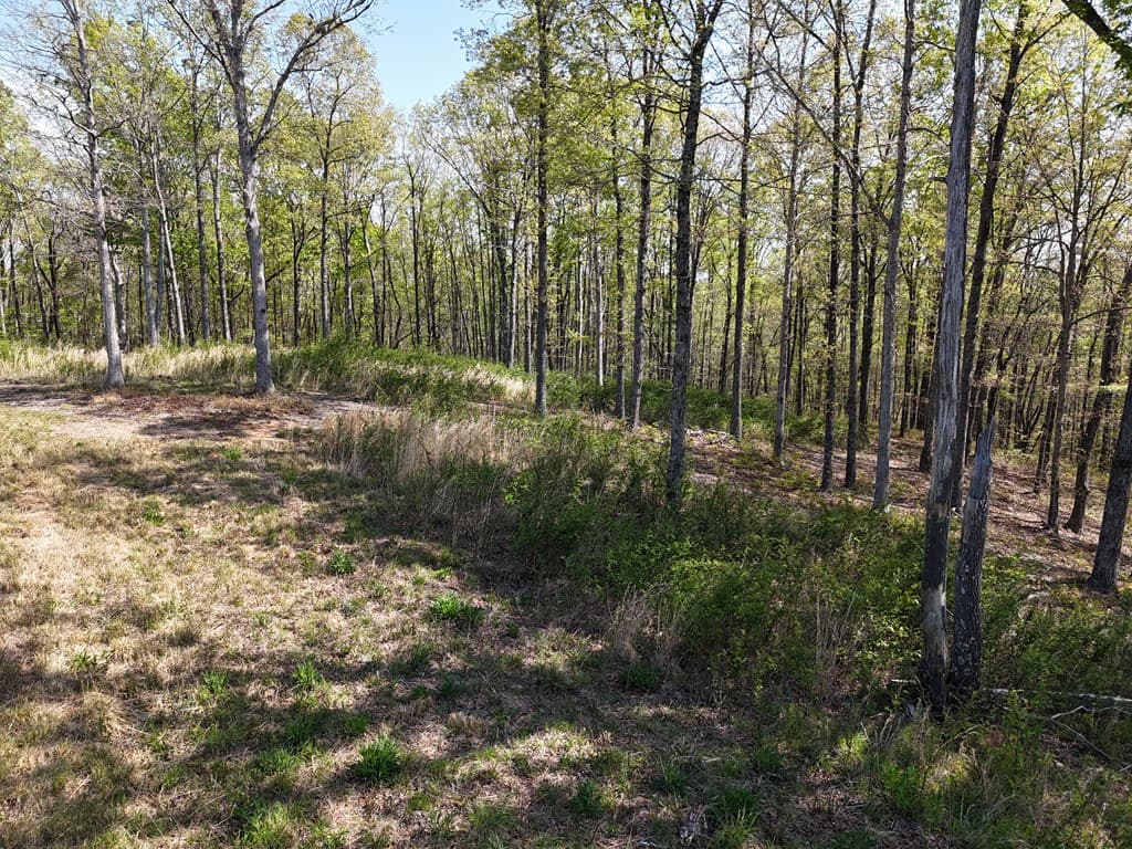 Lot 20 Blalock Mountain Road, Ellijay GA 30540 - Photo