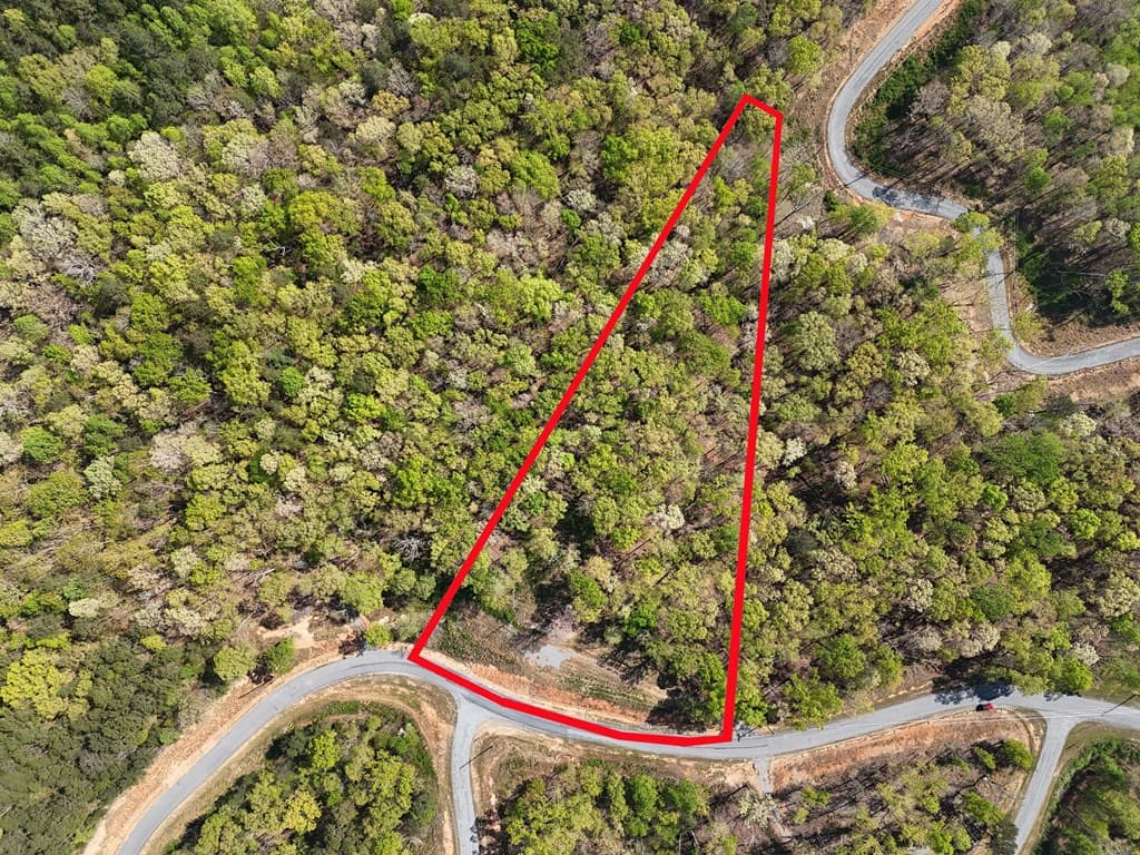 Lot 20 Blalock Mountain Road, Ellijay GA 30540 - Photo