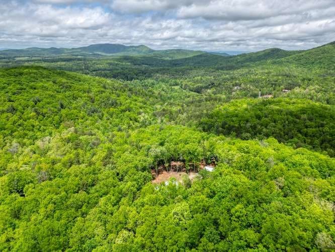 478 Flat Top Road, Blairsville GA 30512 - Photo