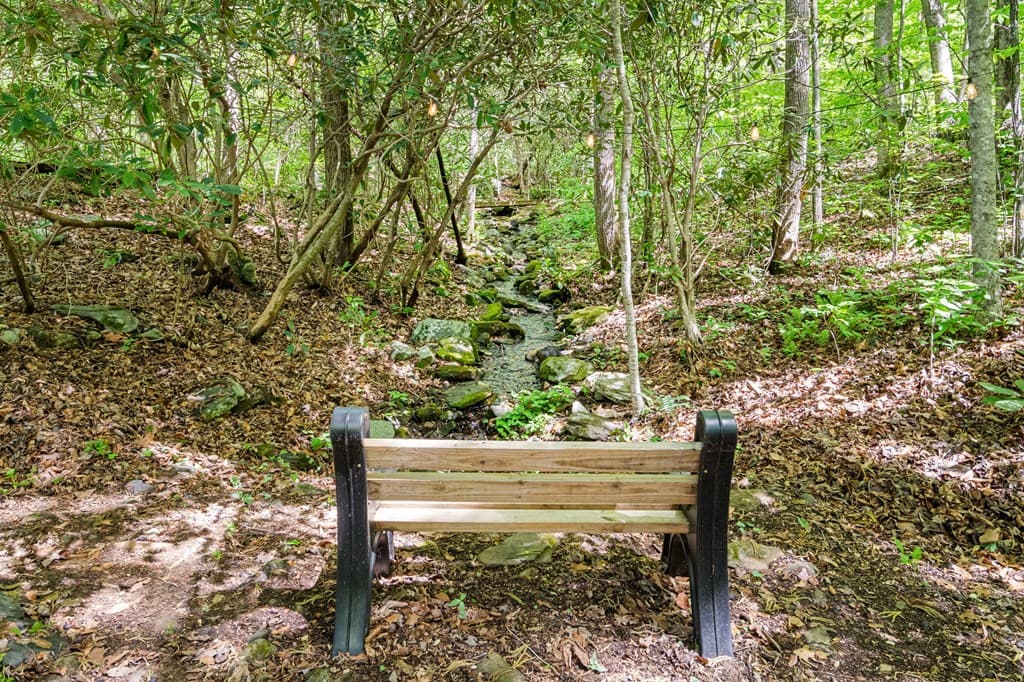 255 Stoney Brook Trail, Hayesville NC 28904 - Photo