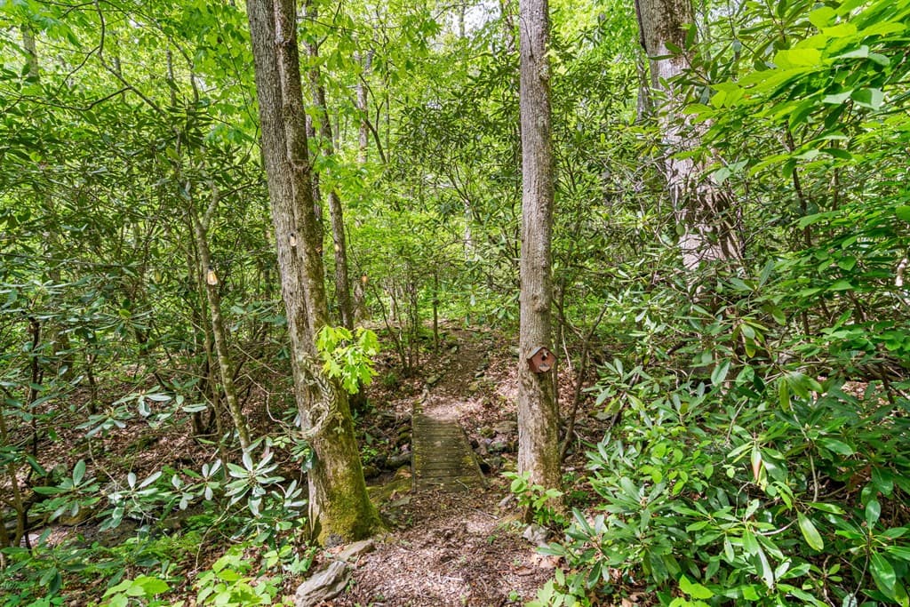 255 Stoney Brook Trail, Hayesville NC 28904 - Photo
