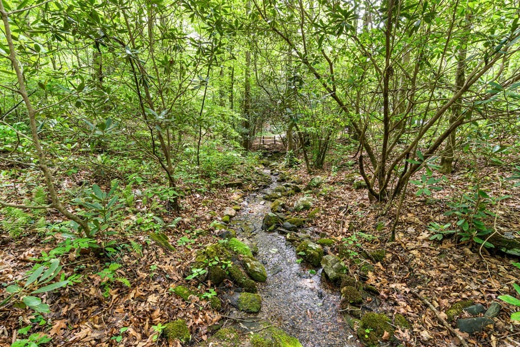 255 Stoney Brook Trail, Hayesville NC 28904 - Photo