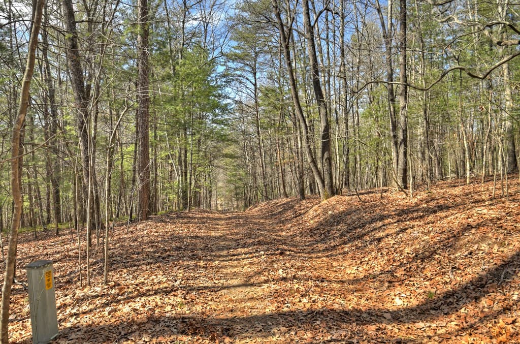 331 Chestnut Gap Road, Blue Ridge GA 30513 - Photo
