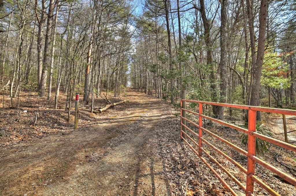 331 Chestnut Gap Road, Blue Ridge GA 30513 - Photo
