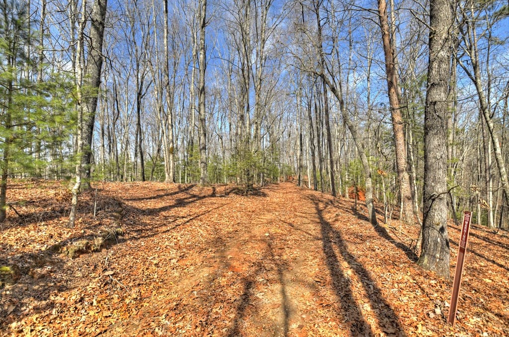 331 Chestnut Gap Road, Blue Ridge GA 30513 - Photo
