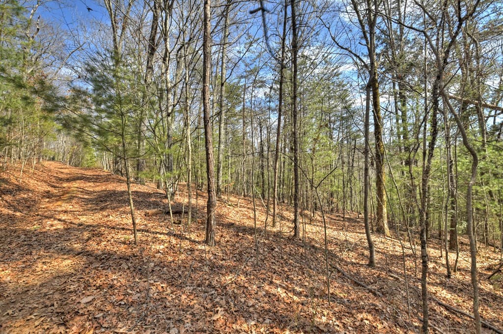 331 Chestnut Gap Road, Blue Ridge GA 30513 - Photo