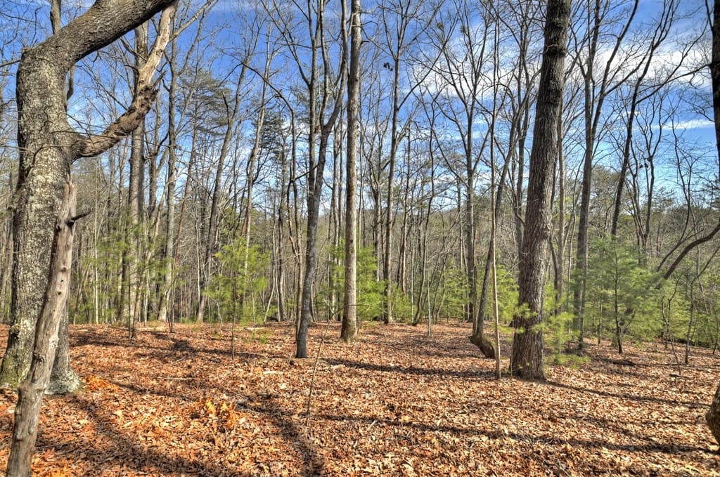 331 Chestnut Gap Road, Blue Ridge GA 30513 - Photo
