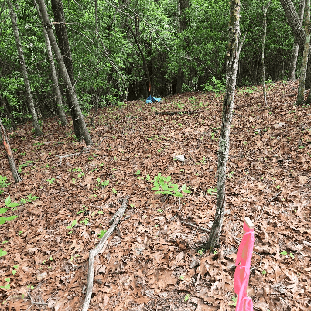 3.5acre Dusty Trail, Morganton GA 30560 - Photo