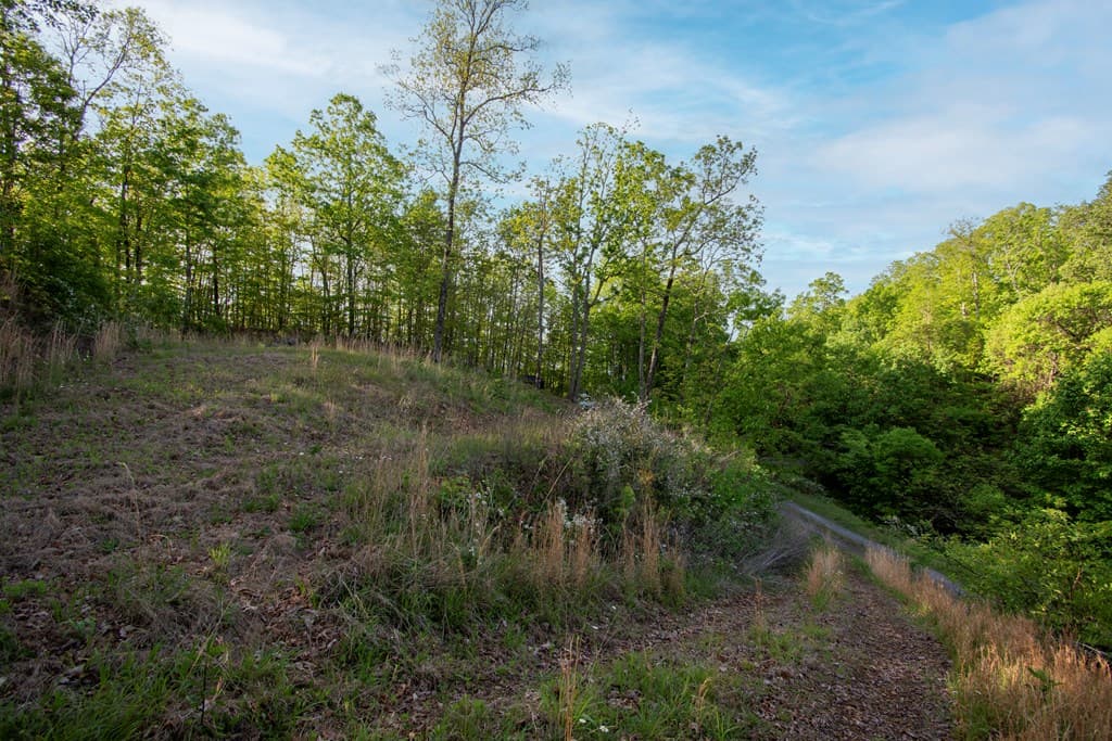 43/44 Timberwood Mountain Estates, Marble NC 28905 - Photo